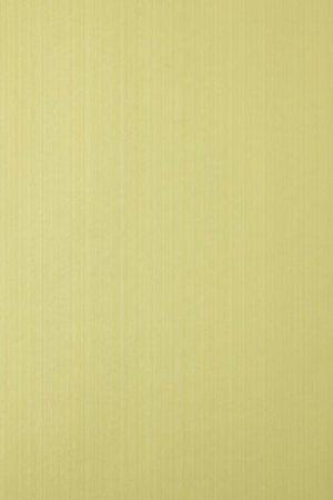 FARROW AND BALL DRAG BP 1294 WALLPAPER