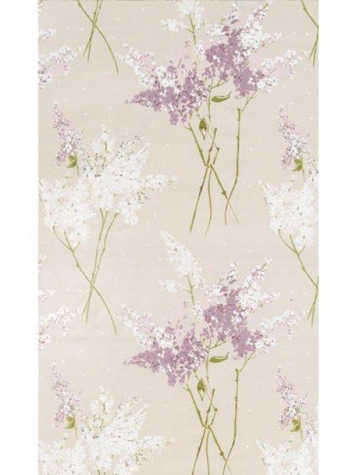 Buy Nina Campbell Montacute Barrington Fabric online Alexander