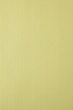 FARROW AND BALL DRAG BP 1294 WALLPAPER