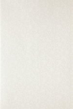 FARROW AND BALL VERMICELLI BP 1506 WALLPAPER