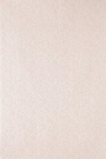FARROW AND BALL VERMICELLI BP 1522 WALLPAPER