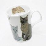 ROY KIRKHAM BONE CHINA | CATS GALORE LANCASTER MUGS