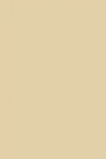 FARROW AND BALL ARCHIVE NO. 227 PAINT