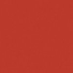 Paint and Paper Library Beetlenut 413 Paint