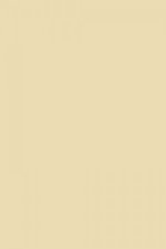 FARROW AND BALL FAWN NO. 10 PAINT