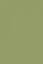 FARROW AND BALL OLIVE NO. 13 PAINT